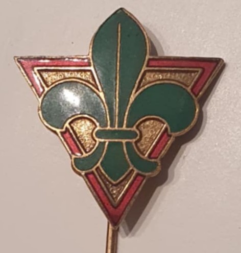 1950 korpsets hæderstegn Guld