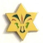 2002 50 års stjerne