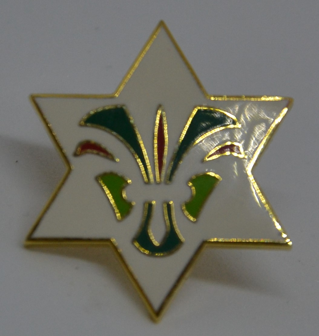 2002 25 års stjerne ny logo