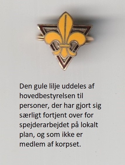 xxxx 2024 Den gule lilje